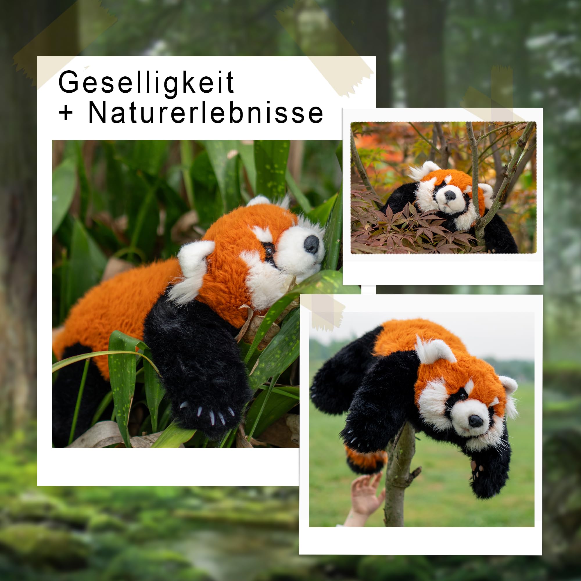 Mineup Rode panda knuffeldier, 23 cm, rode panda pluche, Kawaii Panda pluche dier, knuffelige panda pluche, panda-poppenkussen, cadeaus voor kinderen, Kerstmis, verjaardag