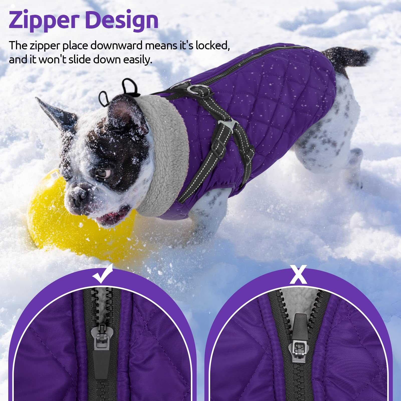 Queenmore Hundemantel Winter Hundejacke Kleine Hunde Wasserdicht