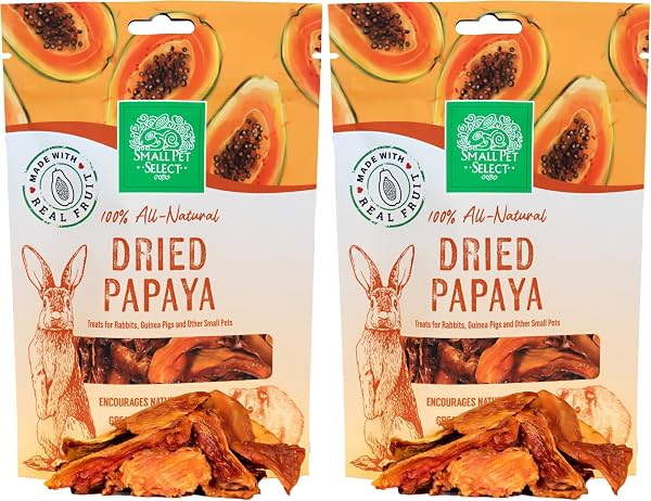 Small Pet Select - Papaya seca, un premio natural para conejos, cobayas, jerbos, hámsters, ratones y ratas, 2 oz (paquete de 2)