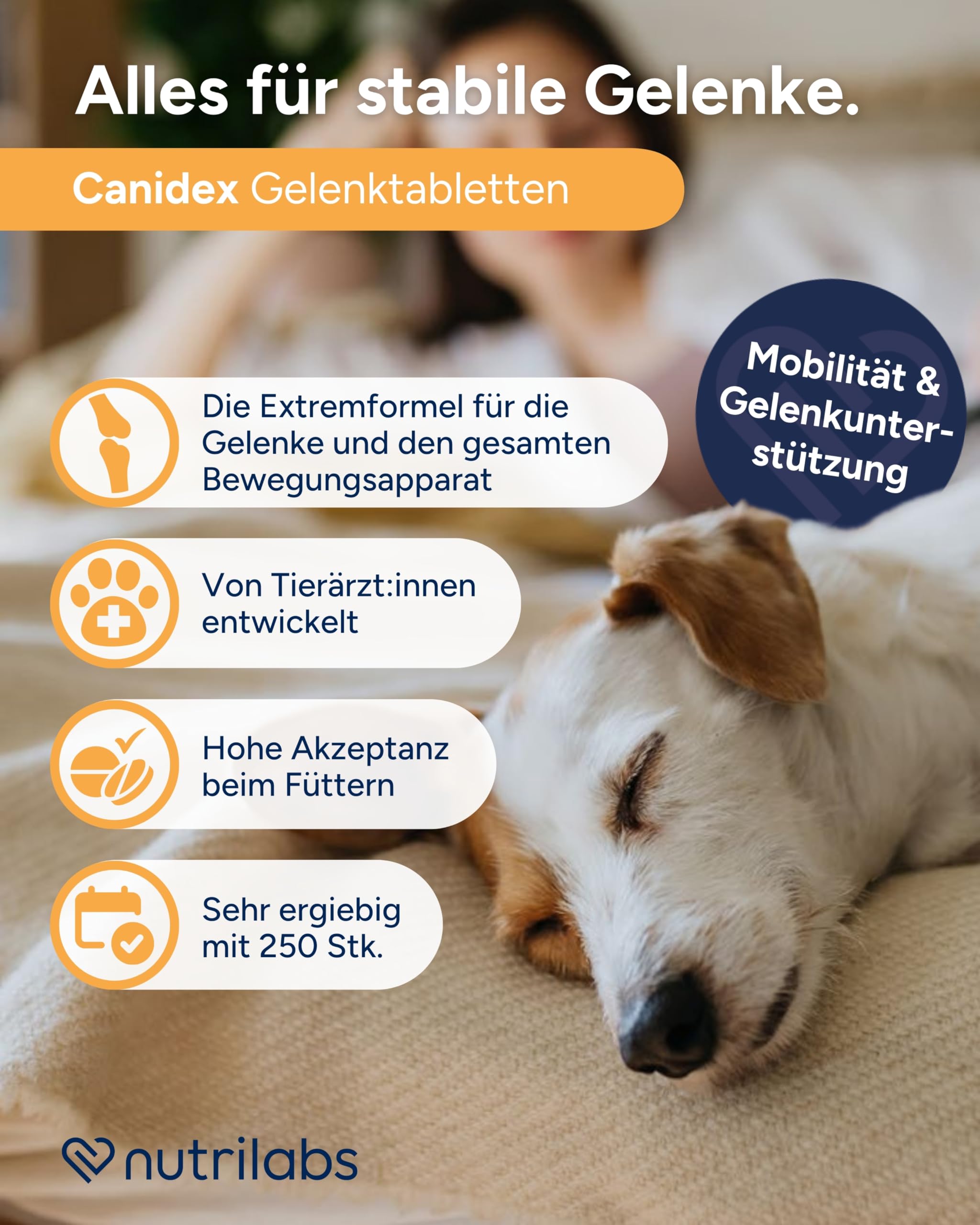 NutriLabs Canidex Gelenktabletten für Hunde 250 Stk. - mit MSM, Hyaluronsäure, Glucosamin, uvm. - Gesundheitsprodukte für Hunde - Nahrungsergänzungsmittel Hund - Teufelskralle-Hund