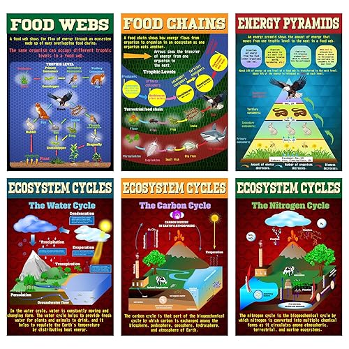Pasimy 6 Pcs Science Posters Ecosystems Teaching Posters Set Ecosystems