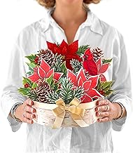 Freshcut Paper Pop Up Cards, Birch Poinsettia, 10 Inch Life Sized Forever Flower Bouquet 3D Popup Greeting Cards, Christmas Card, Holiday Card, Blank Notecard & Envelope