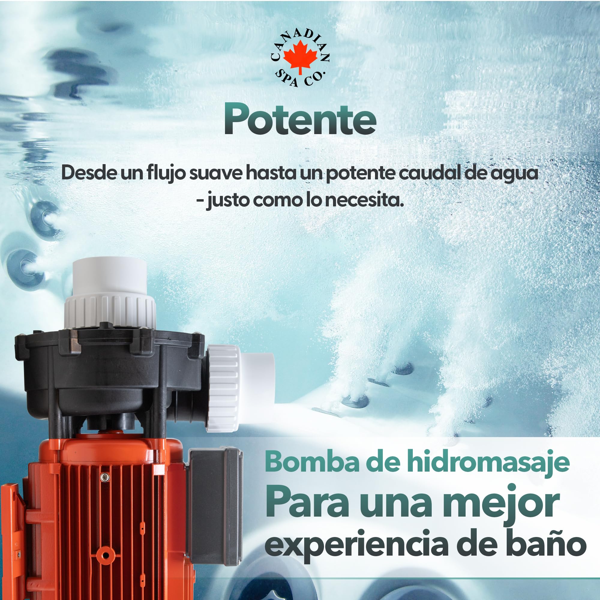 CANADIAN SPA CO. Bomba de masaje Big Red 5PS WP500-I, bomba de piscina de 1 nivel, conexión de 2,5 a 2,5 pulgadas, máx. 1120 litros por minuto, hidromasaje