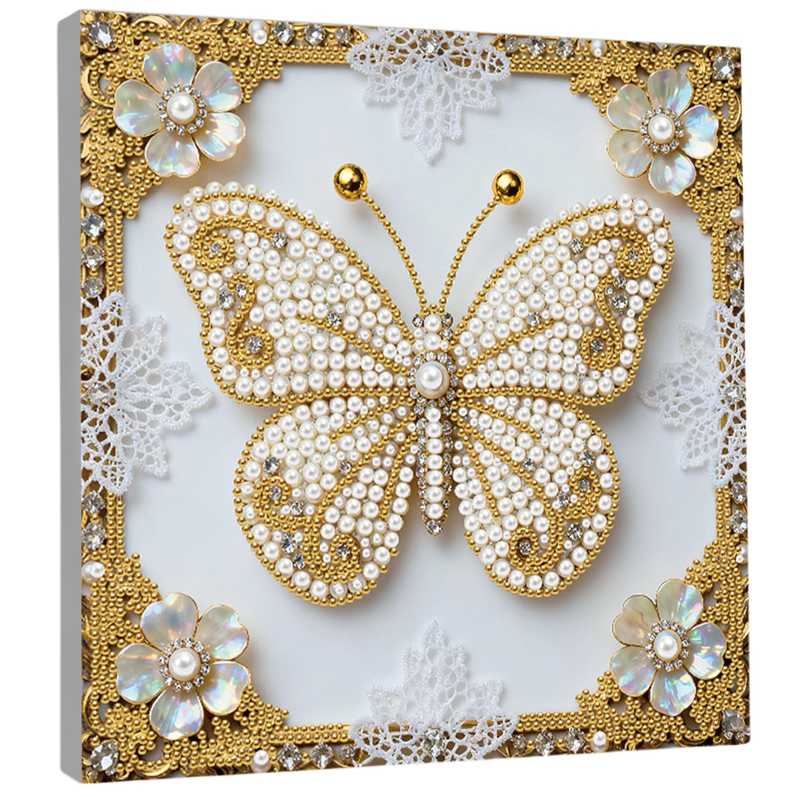 DIY Pearl Painting Art Kits for Adults Beginners Home Wall Decor Pearl Gem Paintings Picture Arts Craft 25x25cm with Frame (ZZH009)