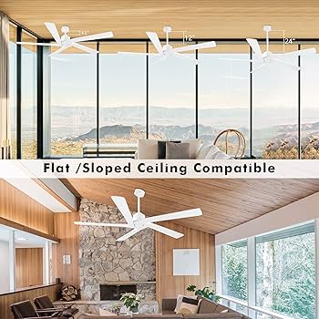 Amazon.com: WINGBO 72 Inch DC Ceiling Fan No Light with 3