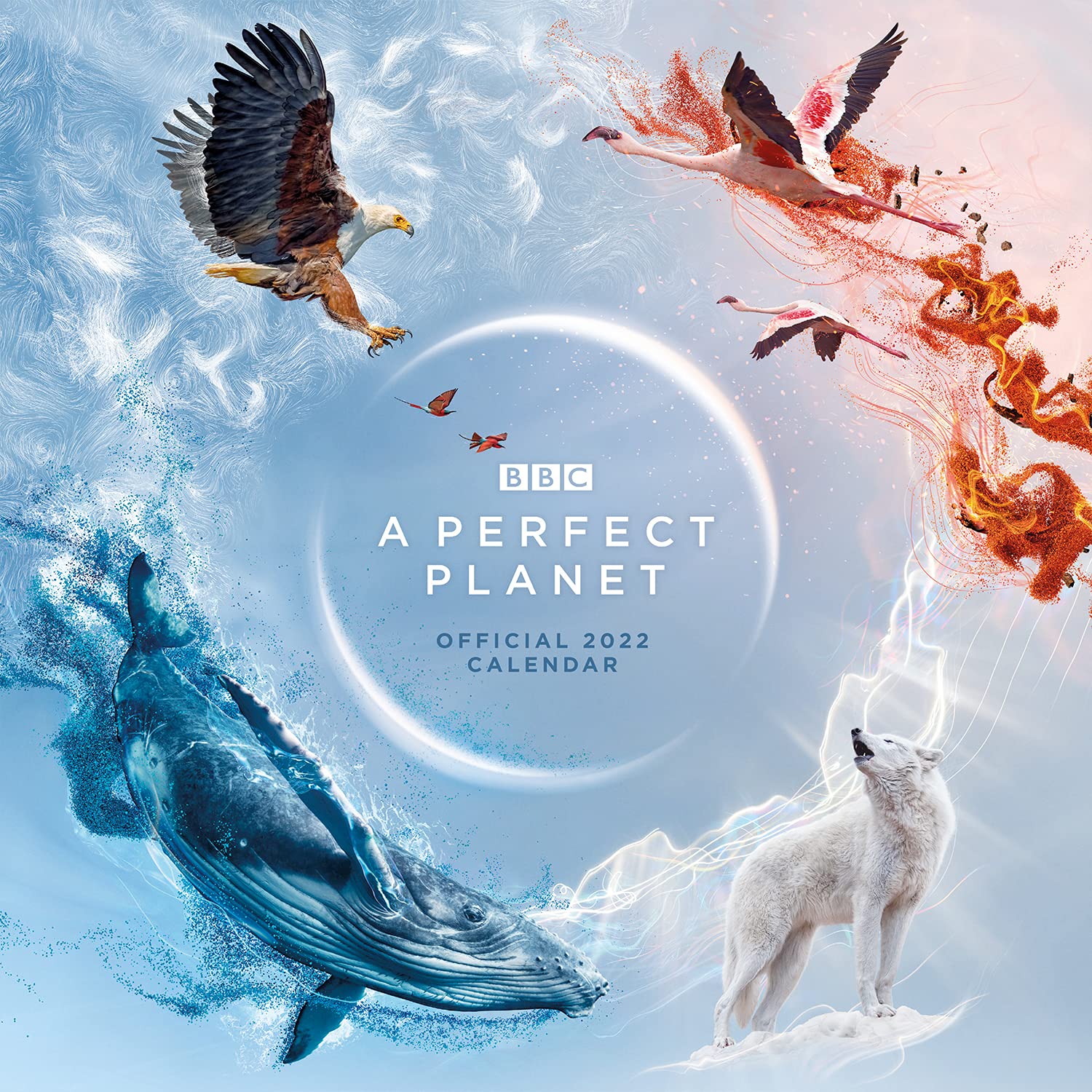 buy-official-bbc-perfect-planet-2022-month-to-view-square-wall-the