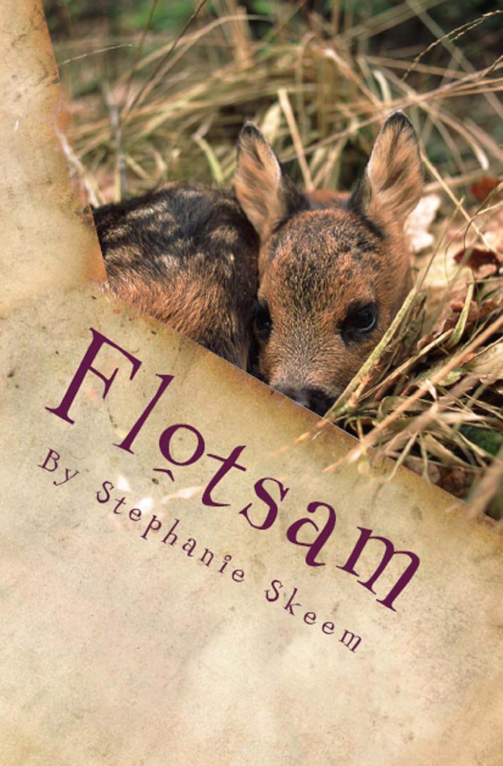 Flotsam Kindle edition by Skeem, Stephanie. Children Kindle eBooks