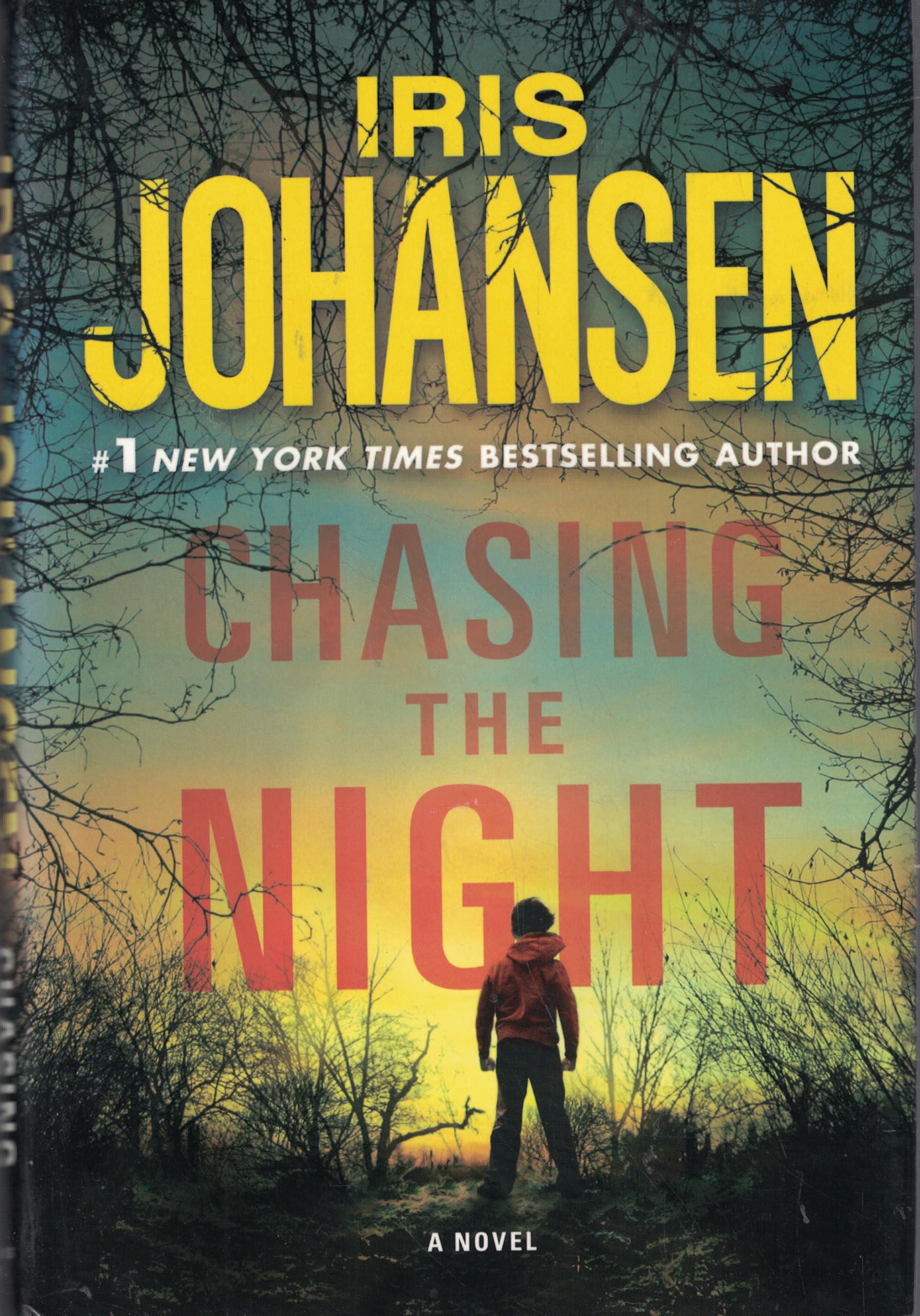 Buy Chasing the Night (Eve Duncan) — BookShops.in