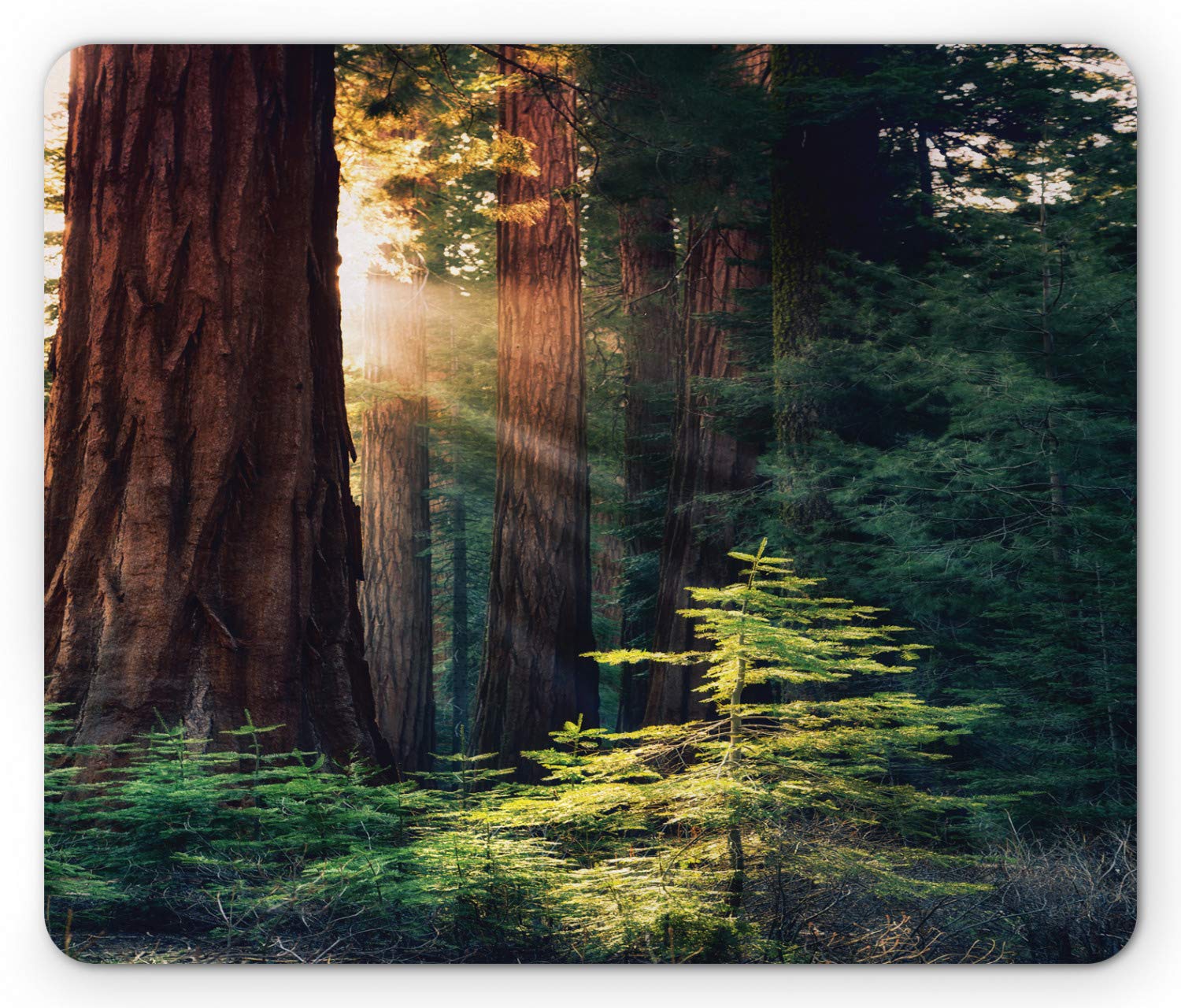 Ambesonne National Parks Mouse Pad, Morning Sunlight in Wilderness Yosemite Sierra Nevada United States Nature, Rectangle Non-Slip Rubber Mousepad, Standard Size, Green Brown