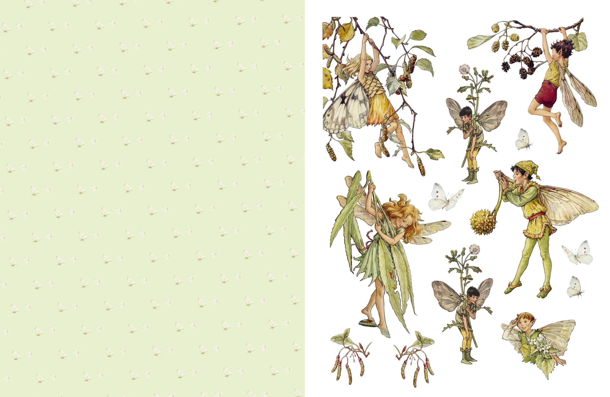 Cut Out and Collage Flower Fairies: Cut Out and Keep Flower Fairies for Arts and Craft