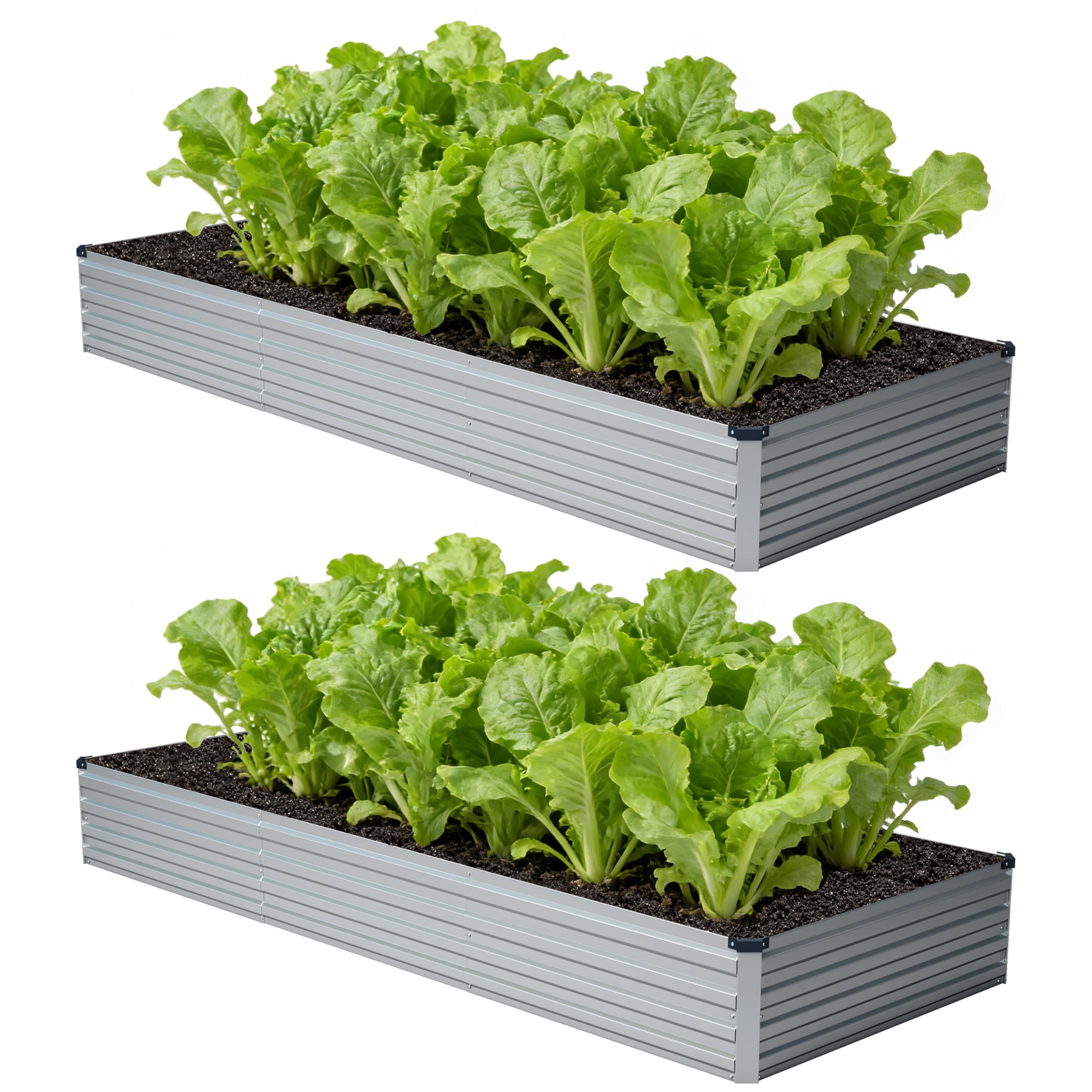 Amazon.com: zunatu 12x4x1 ft(2 Pack) Galvanized Raised Garden Bed