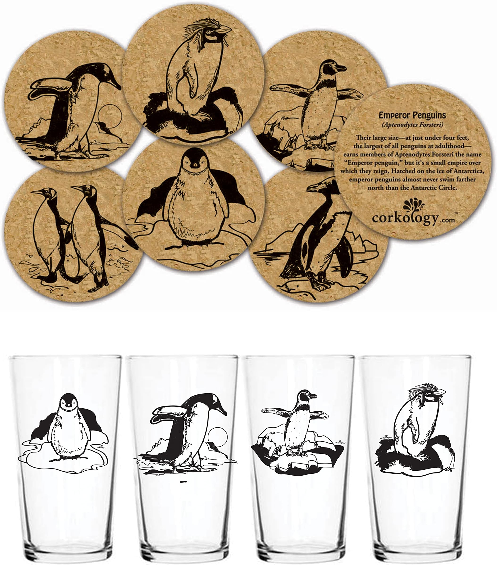 Corkology.com Penguins Pint Pack with Matching Coaster Set, Clear