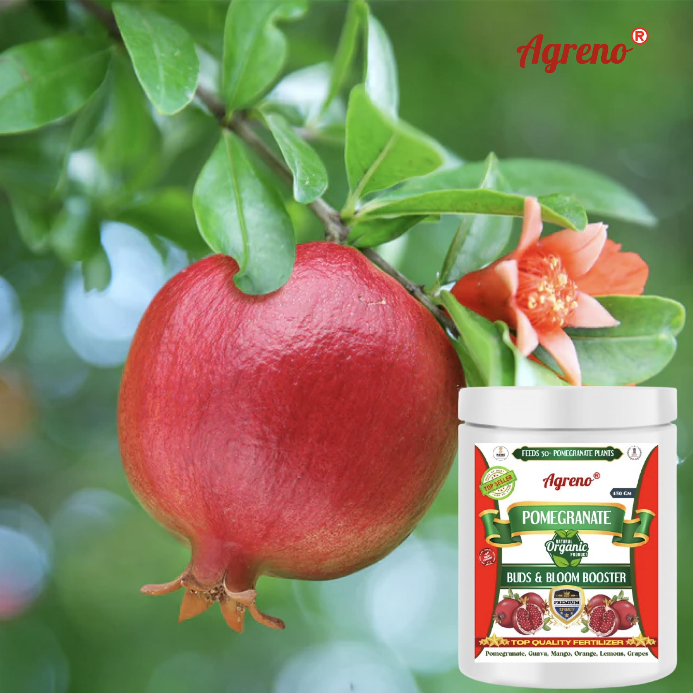 Amazon.com : Agreno Pomegranate Buds and Fruits Booster, Essential  Powerful Organic Fertilizer Granule for Fast Growth and Heavy Fruiting of  all types of Pomegranate Plants. (450 gm) : Patio, Lawn & Garden