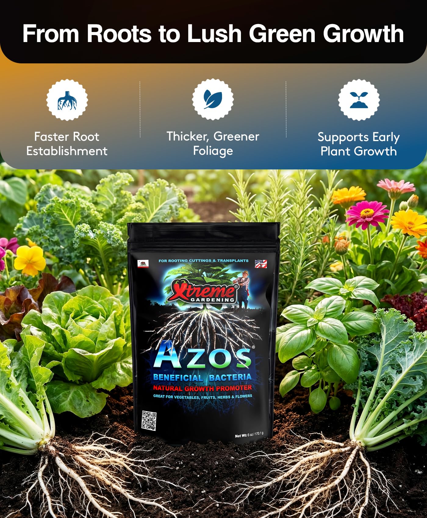 Amazon.com : Xtreme Gardening Azos + Mykos Deluxe Bundle - Azos