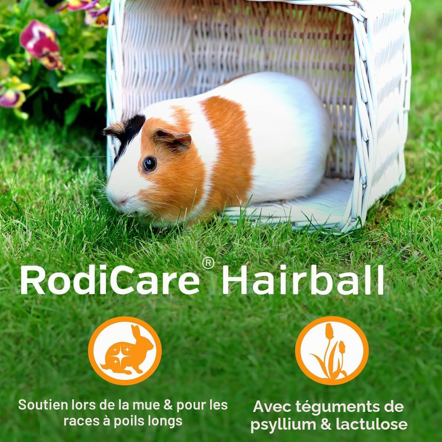 alfavet RodiCare Hairball Aide à l'élimination des Poils et des Boules de Poils dans Le système Gastro-intestinal 3X 12 ML