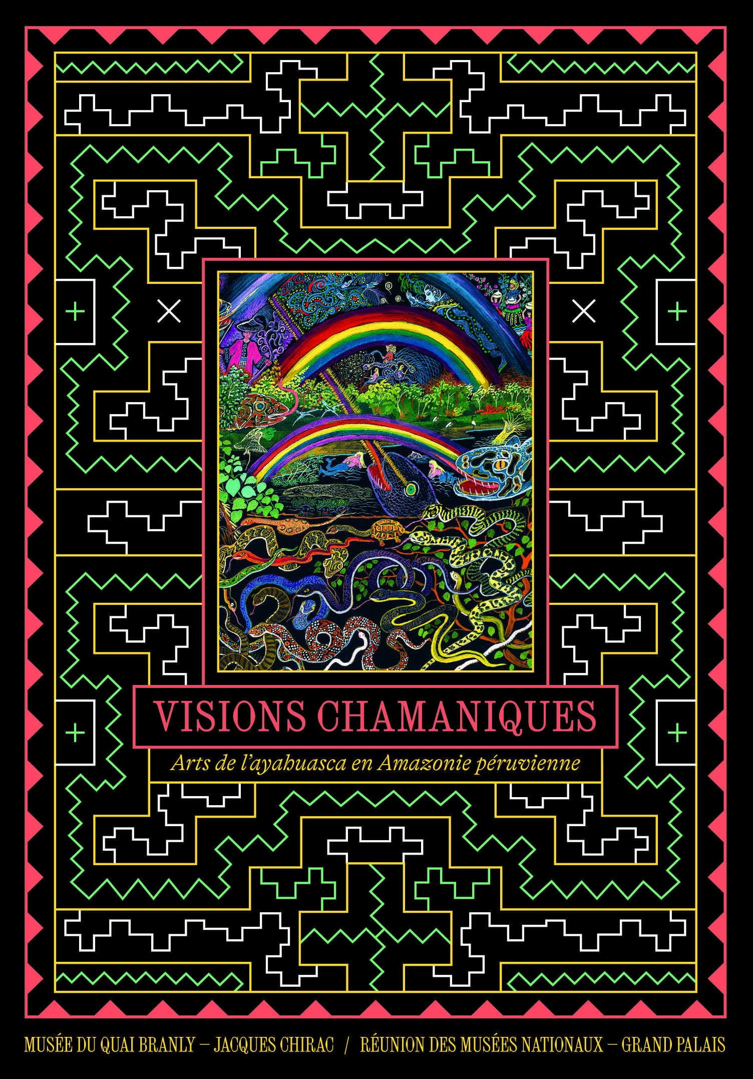 Livre Visions chamaniques et arts de l'ayahuasca en Amazonie
