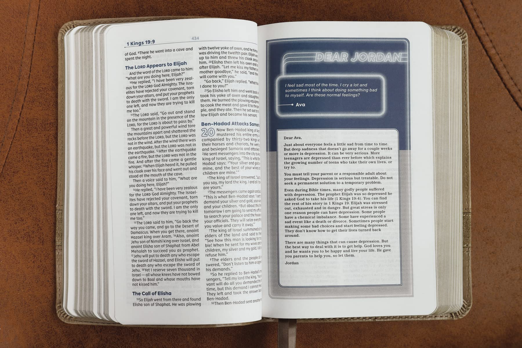 NIV Teen Study Bible: New International Version, Brown, Leathersoft, Comfort Print