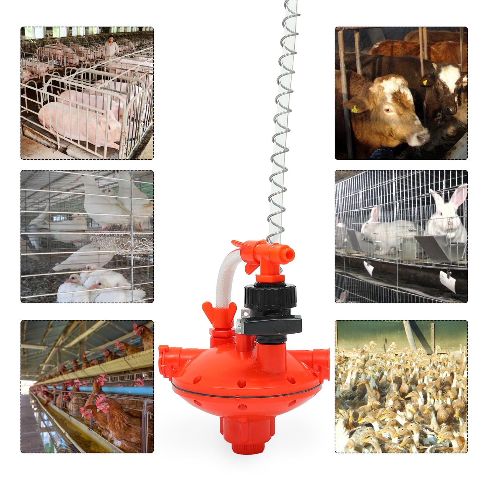 Abbeveratoio per Galline Regolatore di Pressione, Plastico Rosso