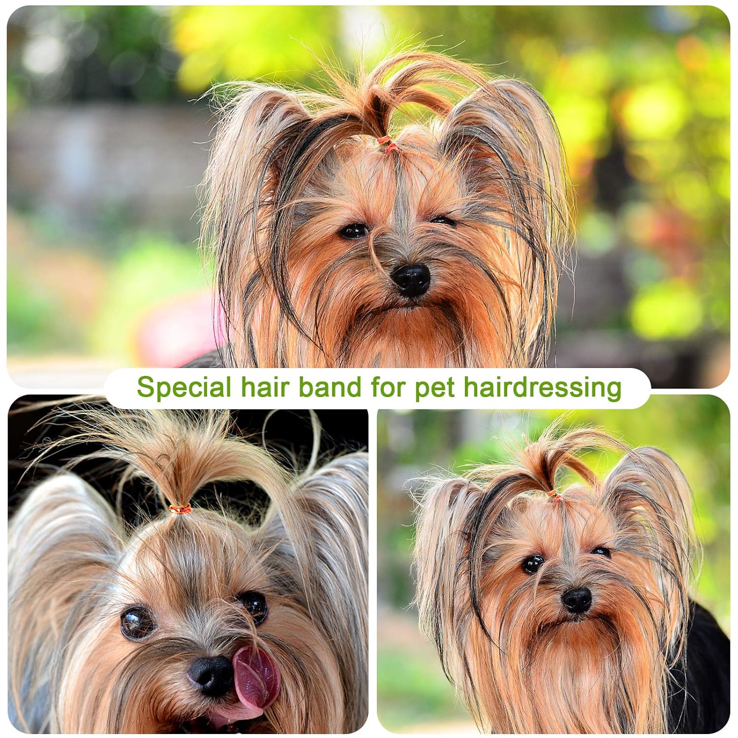 YEEPSYS Kids Hair Ties, 1000 pcs Hair Elastic Bands for Toddler and Girls , Baby Multicolor Small Seamless Hair Bands Elastic Ponytail Holders (1000 Pcs, Red) : Beauty & Personal Care