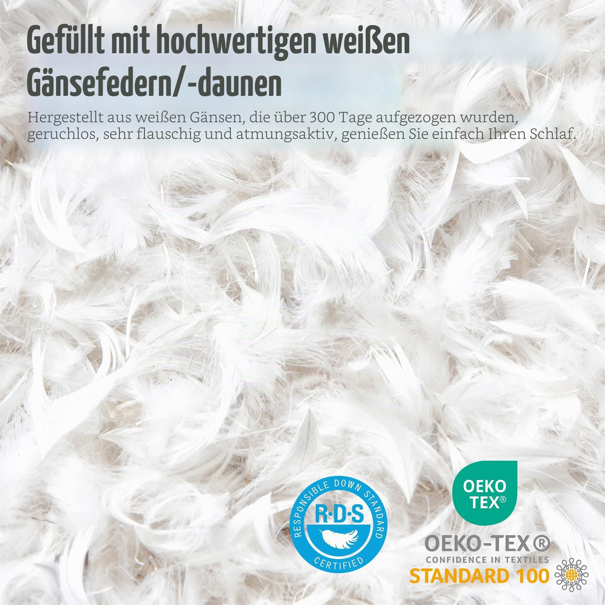 Deodar Daunenkissen Federkissen 80x80 | 2er Set | Für Allergiker Geeignet | 1KG Füllungen | 3 Kammer Atmungsaktiv Hotel Qualität Kopfkissen | Baumwollbezug | Waschbar | Öko-Tex RDS Zertifiziert