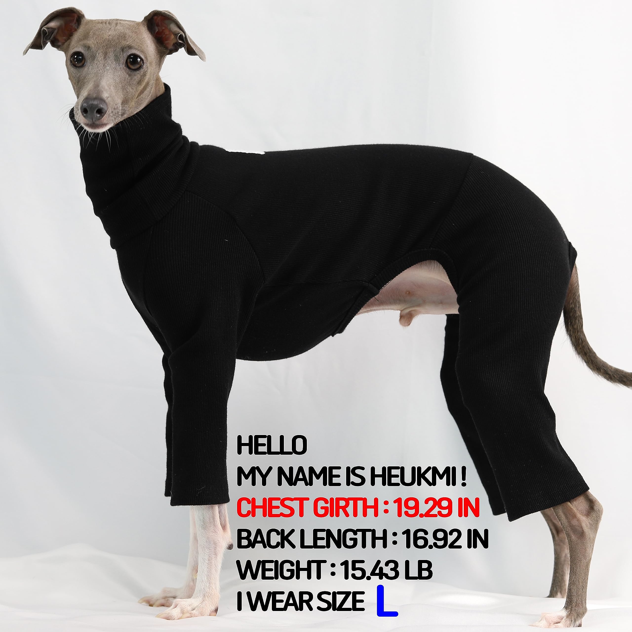 Amazon.com : D Doggy Star Italian Greyhound Clothes Stretchable