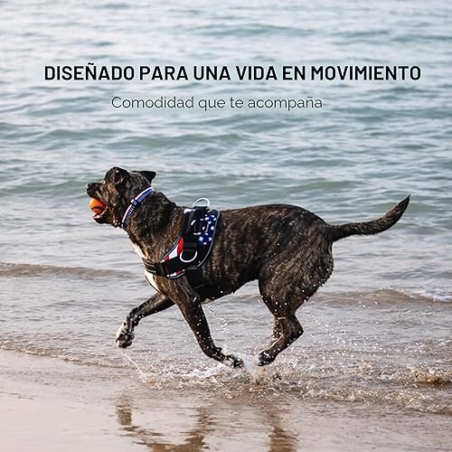 Miniatura 8 de ShawnCo Arnés esencial para perro, chaleco sin tirones para mascotas con 3 clips para correa, sin estrangulamiento, reflectante, ajustable