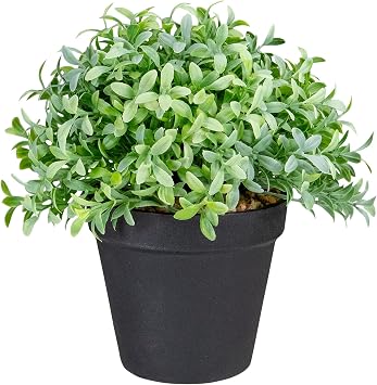Northlight 7.5" Potted Green Artificial Boxwood Plant