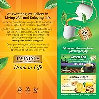 Vista 380 de Twinings Blackcurrant Breeze - Té negro, 6 paquetes de 20 unidades, bolsas de té envueltas individualmente, dulce, sabor picante, con cafeína