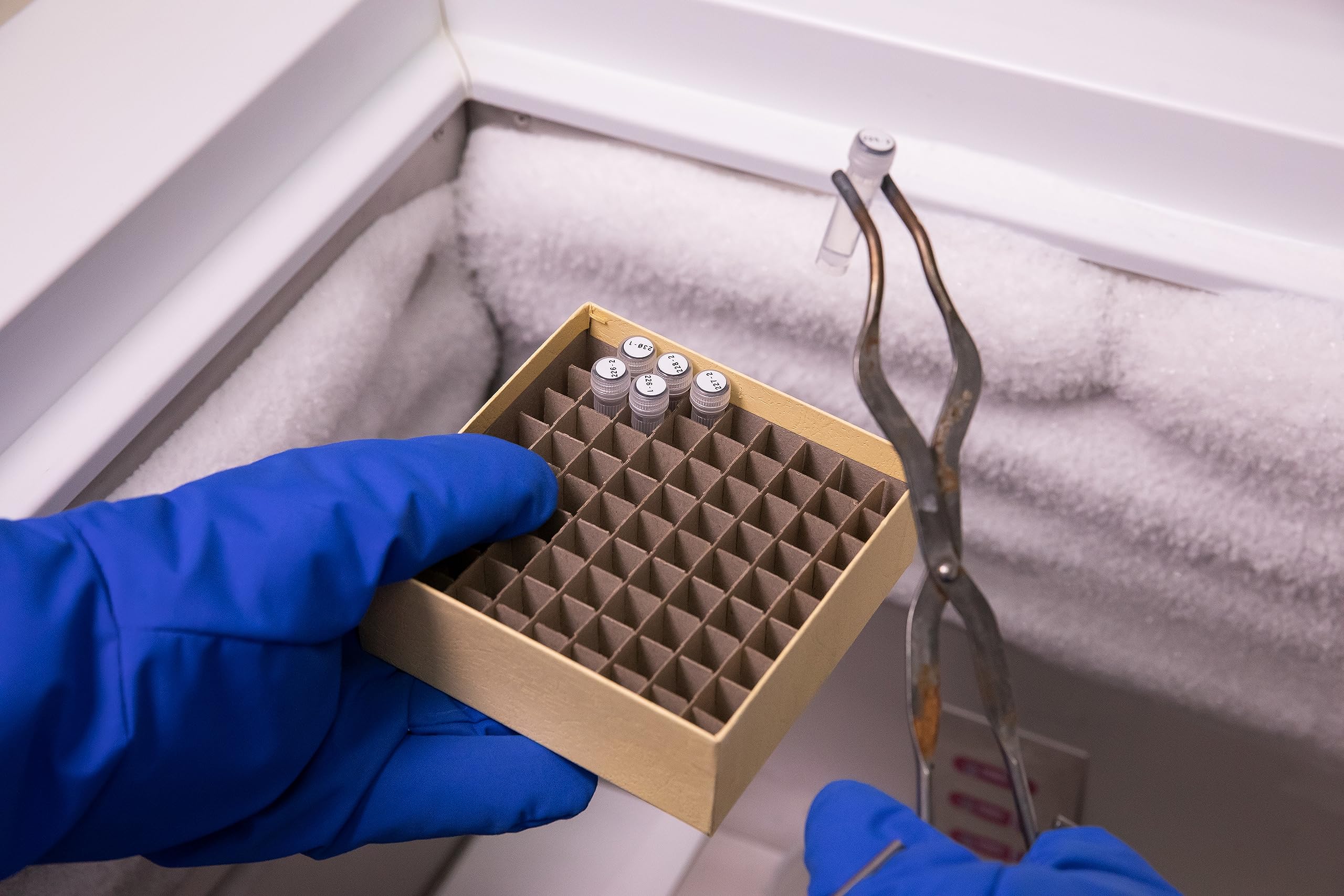 Brady Etichette criogeniche ultra sottili in poliestere per stampante di etichette M410, M510, M511 – Per Attrezzature di Laboratorio – Nero su bianco (9,53 mm ⌀) – M4-82-492