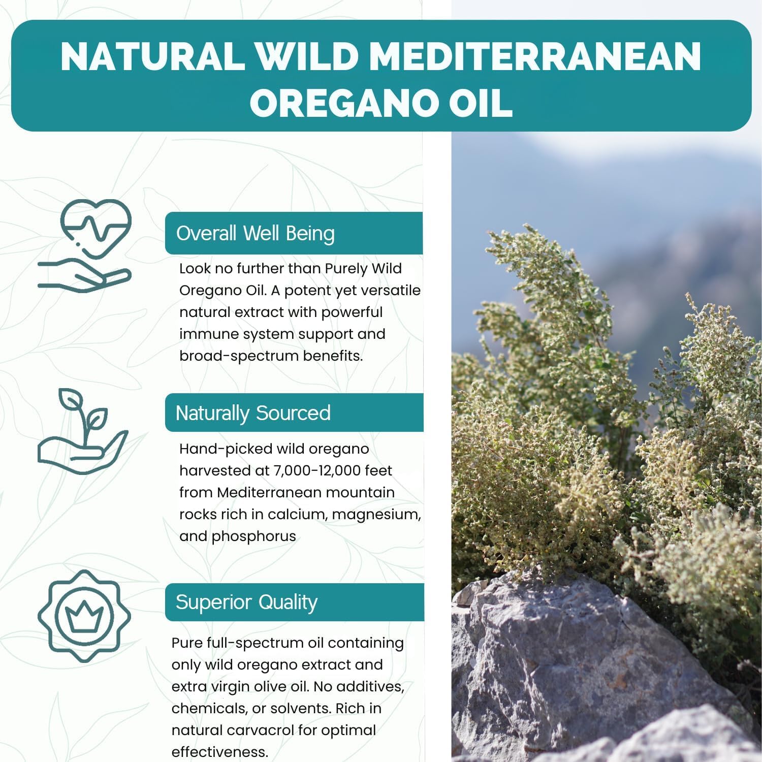 PURELY WILD Dr. Cass Ingram's Oregano Oil Gelcaps - 90 Softgels - Immune Support Supplement - Wild Mediterranean Oregano - Mountain Sourced, Unprocessed, Non-GMO