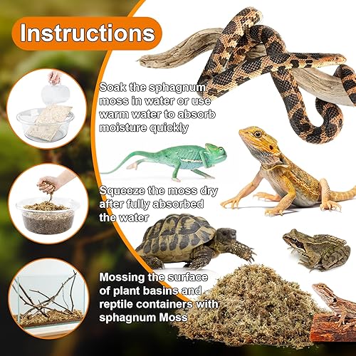 Miniatura 3 de Sukh Sphagnum - Musgo para reptiles – 3.5 onzas de musgo de turba reptil para terrario, lecho de reptiles, sustrato para tanque de reptiles,