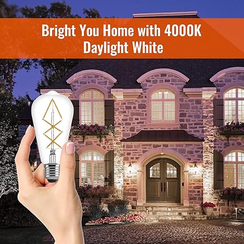 Miniatura 6 de OMED Fishbone - Bombillas LED Edison de filamento, equivalente a 60 W, ST64 E26, bombillas vintage regulables, 600 lúmenes, 4000 K, luz diurna,