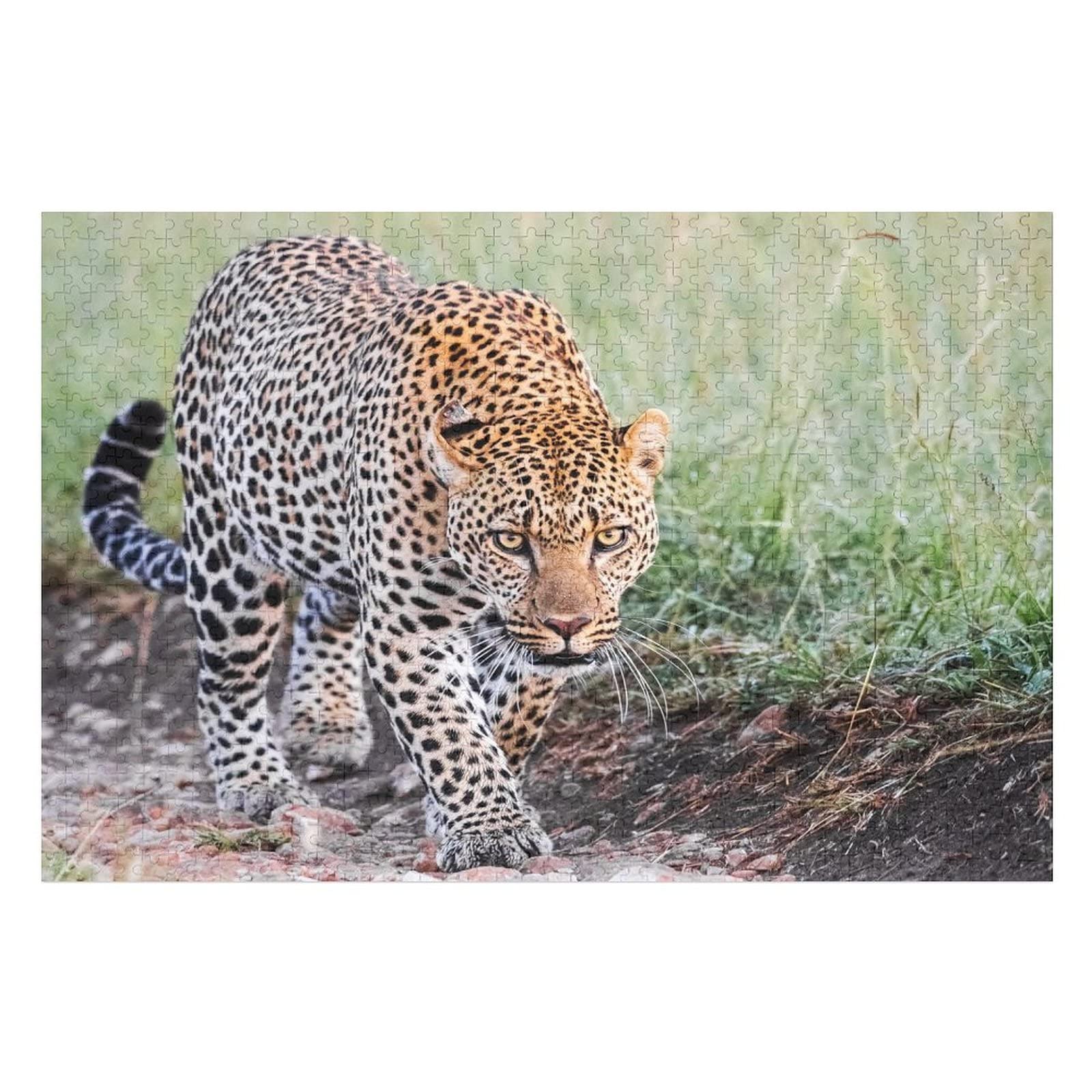 Animal Adult Puzzles 2000 PCS Leopard Print Puzzle, for Kids Adults Intellectual Puzzle Toys Difficult Hard Puzzles 70x100CM