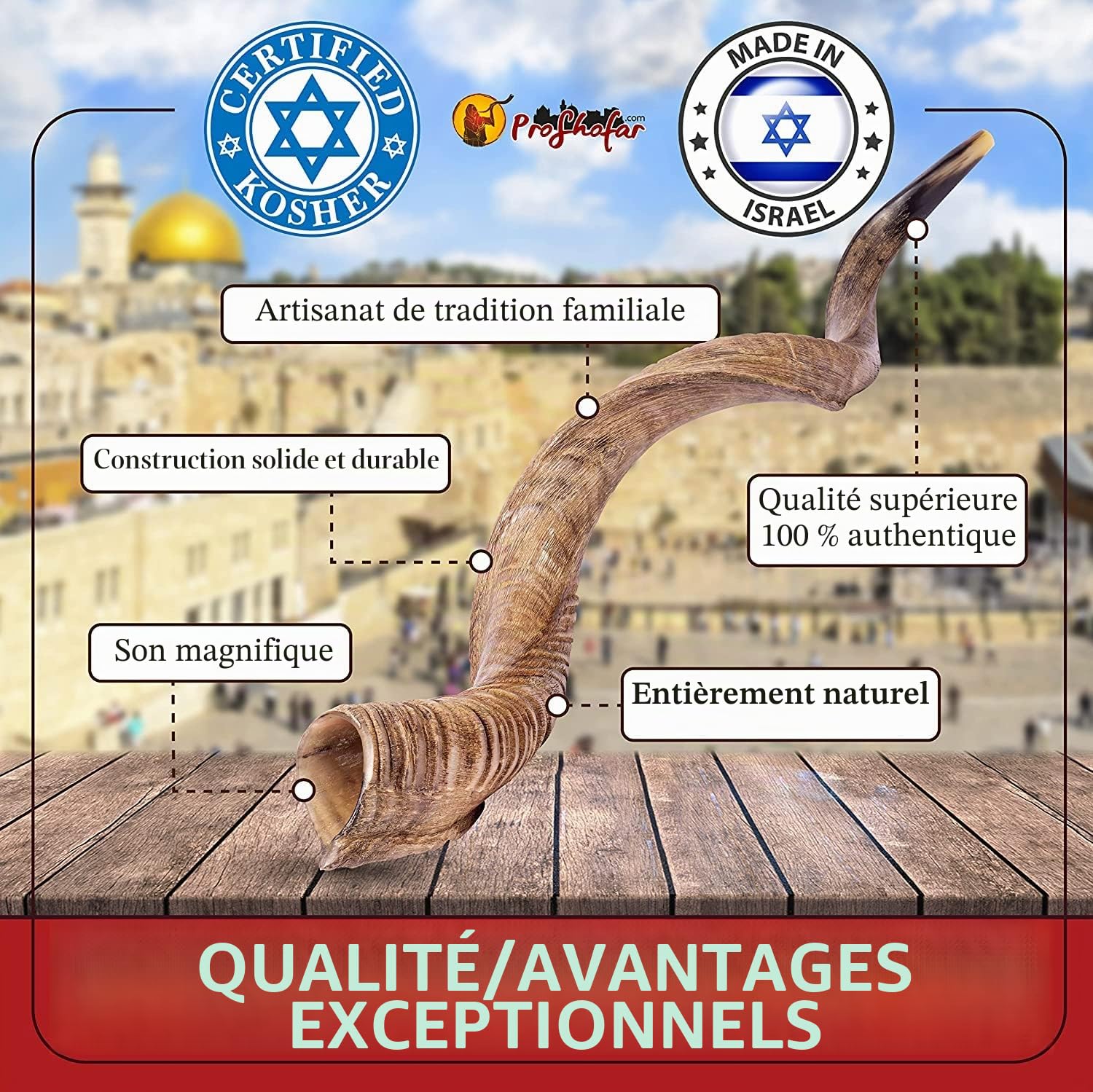 Shofar koudu casher d'Israël, certificat officiel signé kasher, corne de chophar, fabriqué en Israël, avec bonus gratuits