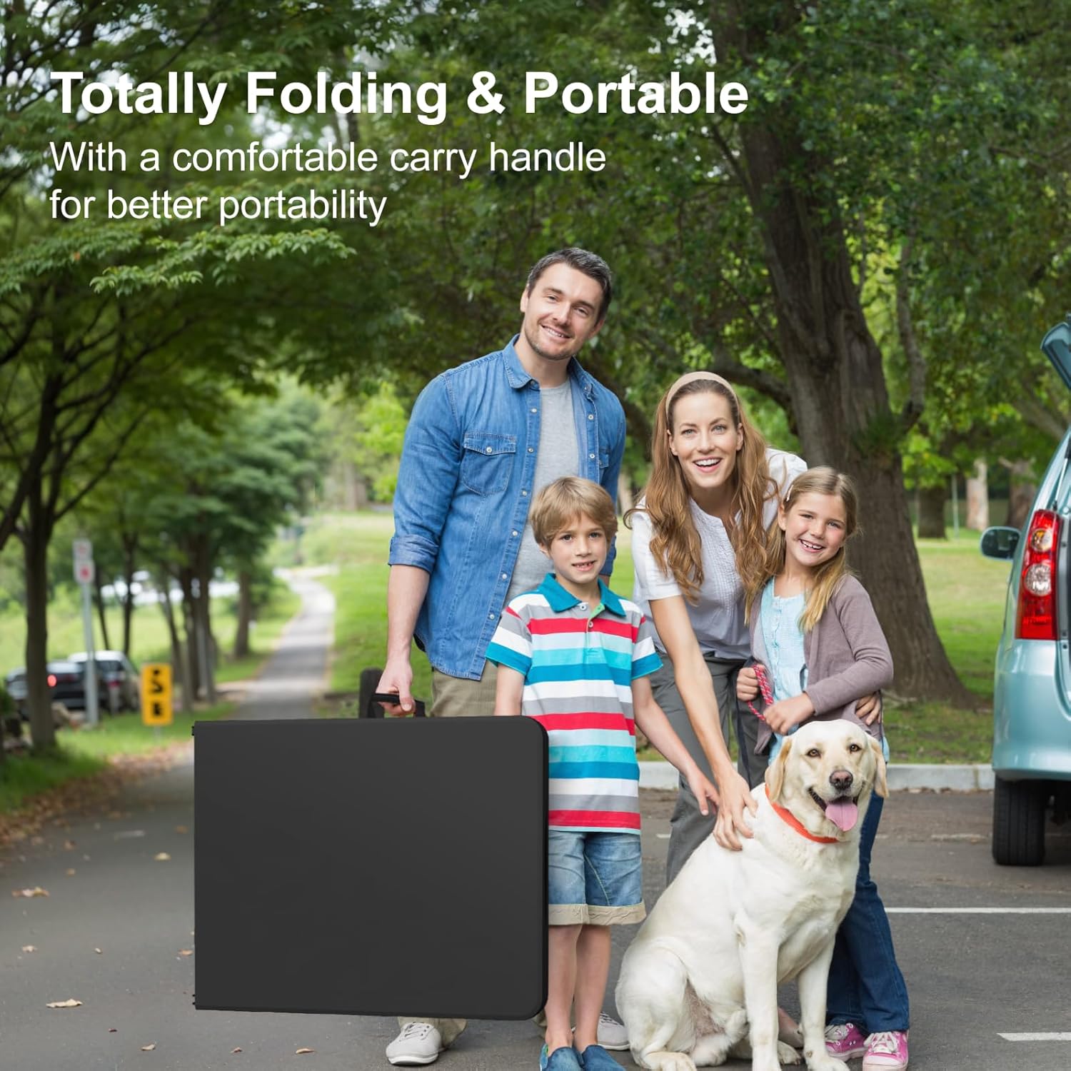 6FT Folding Table, 2 Pack Portable Plastic Folding Table, Foldable Dining Tables with Carrying Handle for Party, Picnic, Camping, Easy to Fold and Storage, for Indoor or Outdoor Use, Black