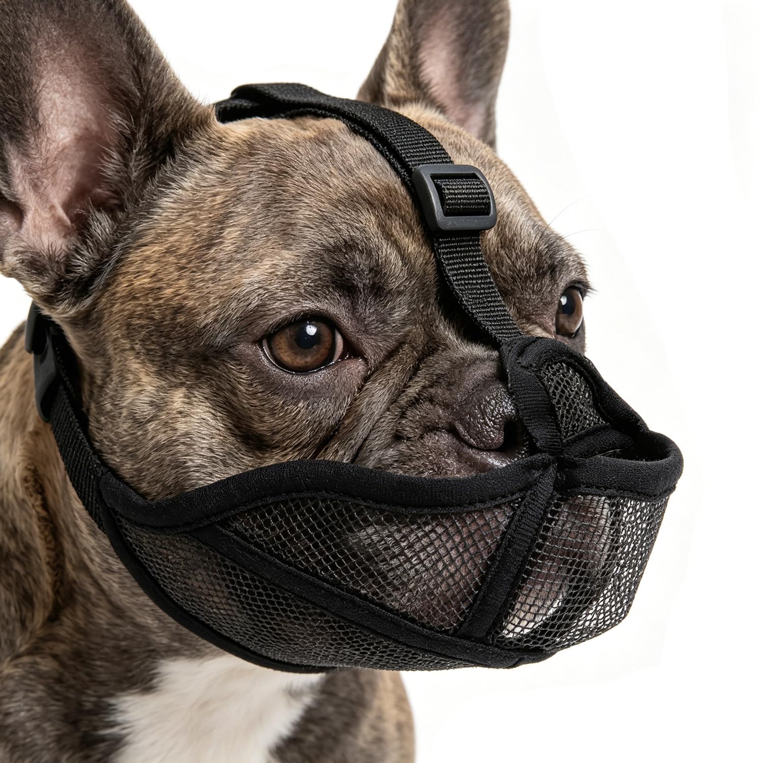 Dog Muzzle for French Bulldog, Soft Breathable Mesh Anti Eating Short Snout Design for Frenchie Staffordshire Bull Terrier, Adjustable Allows Drinking Panting, Black Size M