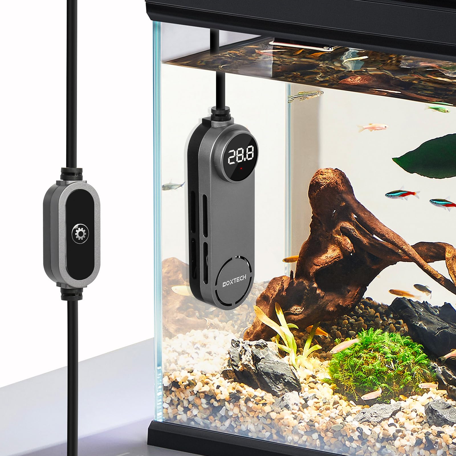 boxtech Small Submersible Aquarium Heater, 100w Fish Tank Heater, Mini Turtle Betta Tanks Heaters with External Adjustable Temperature Controller for 55-110L Fish Tanks