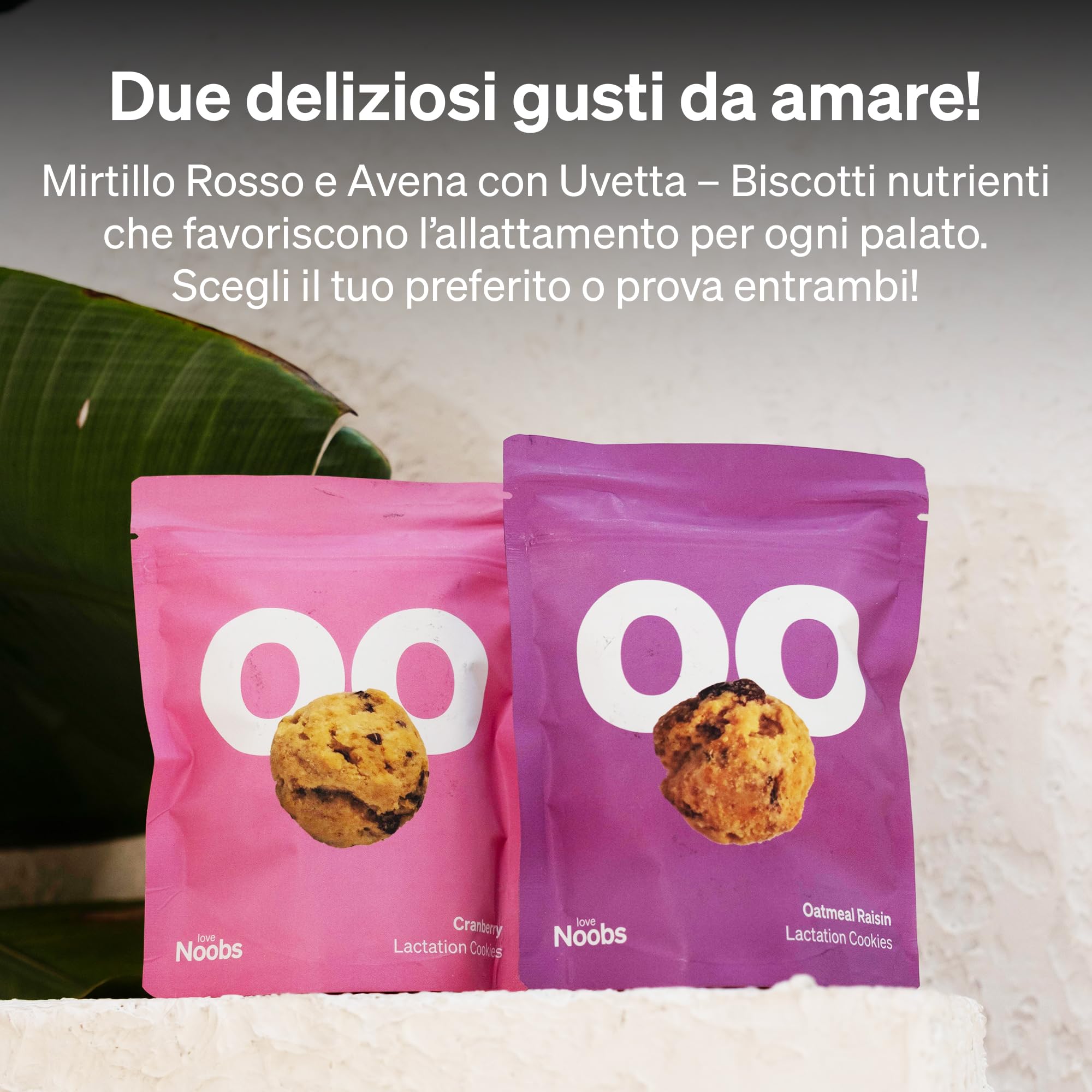 Biscotti per L'allattamento al Seno Love Noobs, Biscotti per L'allattamento, Snack salutare, 6 x 100 gr, Farina D'avena e Uvetta