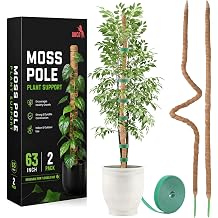 UNCO- Bendable Moss Pole Monstera Plant Support, 63 Inch, 2 Pack, 10 Feet Plant Ties, Moss Poles for Climbing Plants and Monstera Trellis
