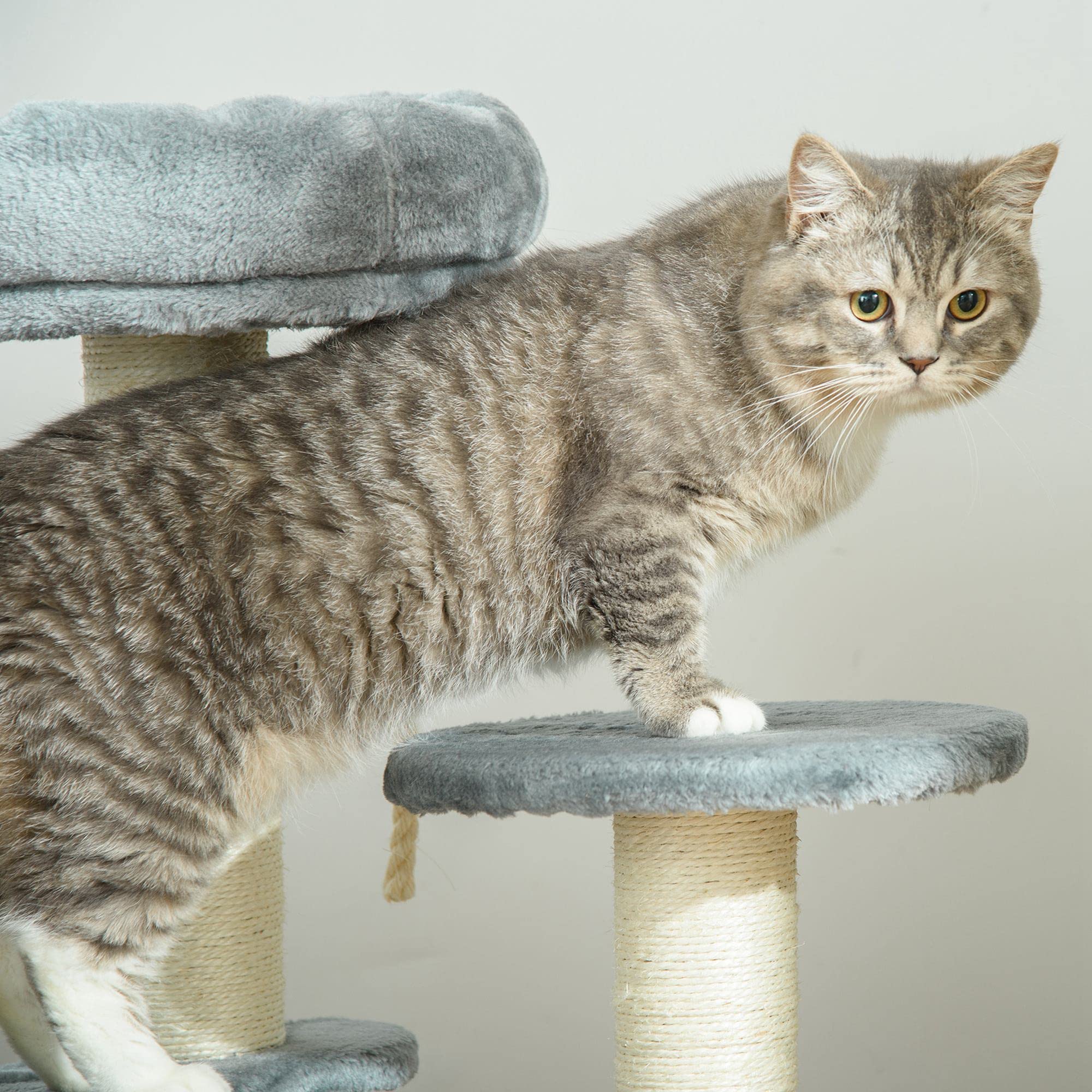 PawHut Albero Tiragraffi Gatti a 3 Livelli in Peluche Sisal Naturale Grigio Ф40x65cm | Piattaforme, Lettino, Pali in Sisal, Torre per Gatti, Rivestimento in Peluche