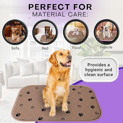 Miniatura 3 de Nativ Products - Paquete de 2 almohadillas lavables para orina para perros, impermeables, superabsorbentes, lavables, reutilizables y