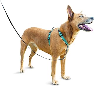 PetSafe 3in1 Harness, from The Makers of The Easy Walk Harness - coolthings.us