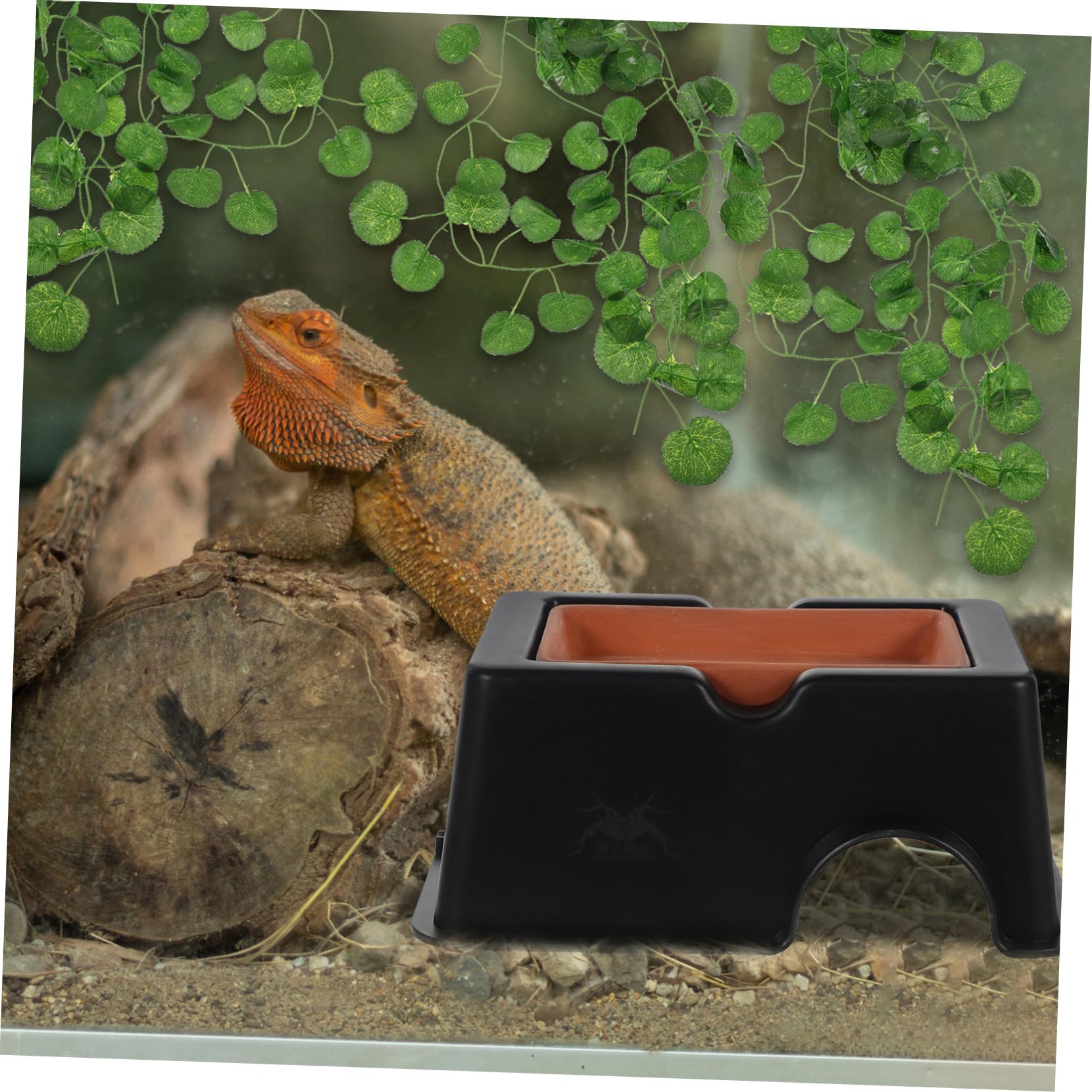 VANZACK 4pezzi Caverna Per Rettili Ceramica Rifugio Umido Per Tartarughe e Gechi Nascondiglio Per Habitat Acquatico e Terrario Accessorio Resistente e Facile Da Pulire