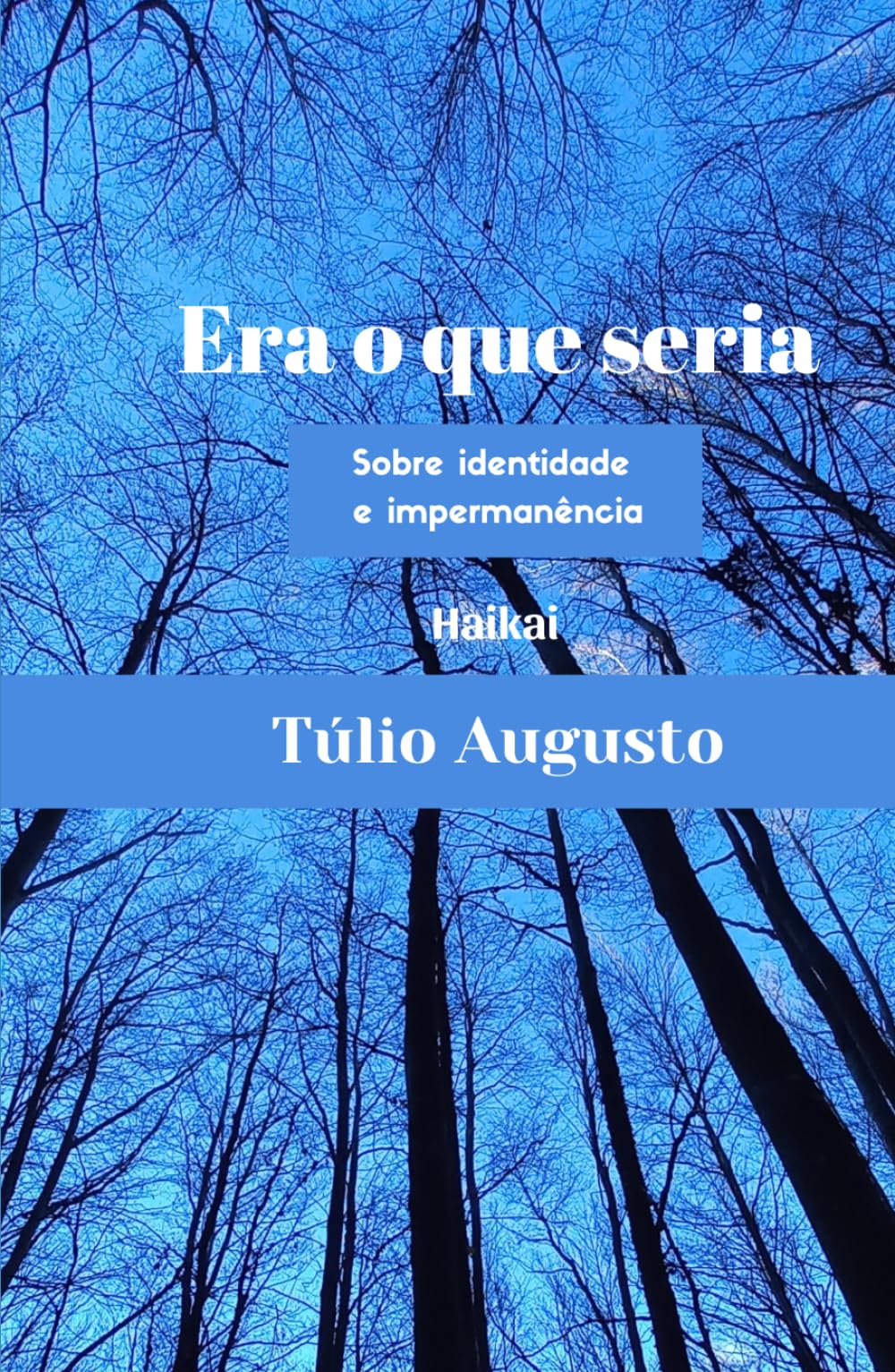 Era o que seria: Sobre identidade e impermanência