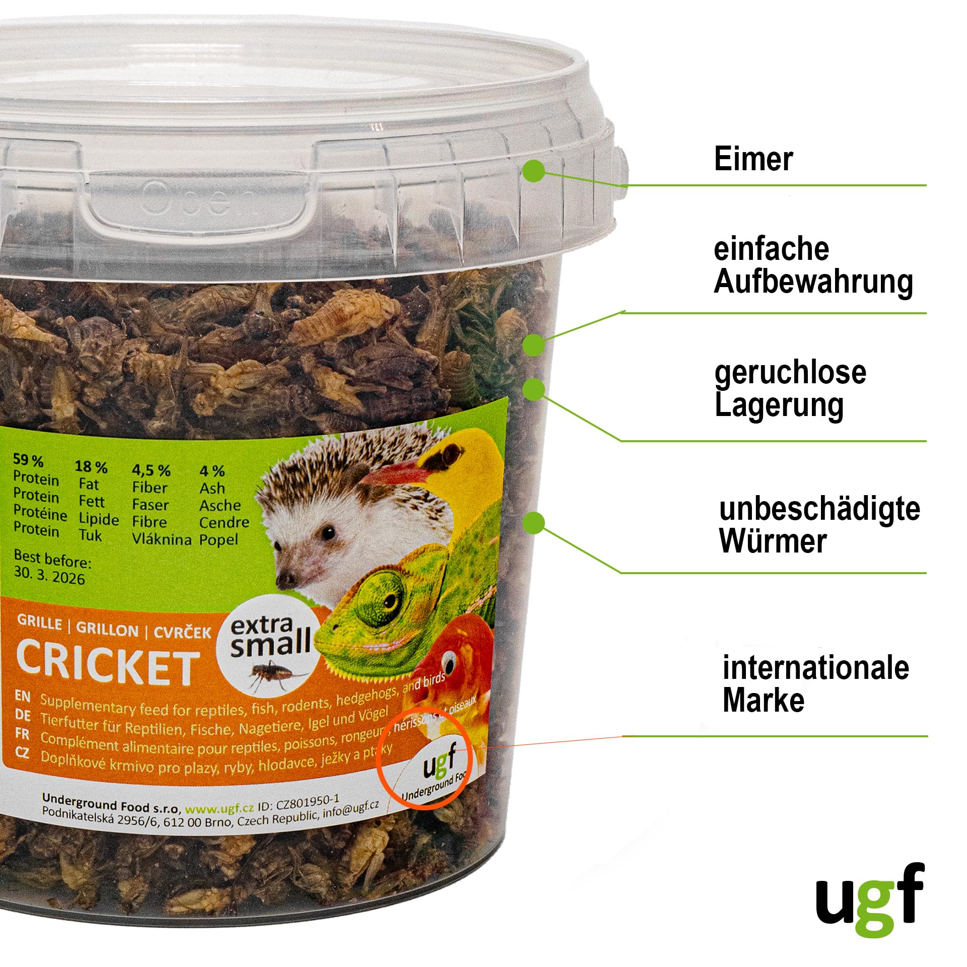 UGF - Suszone małe świerszcze - 80 g w wiaderku 500 ml, Owady świerszcze, Karma dla ptaków dzikich (całoroczna), Karma dla żółwi, Karma dla jeży, Karma dla jaszczurek, Karma dla ryb