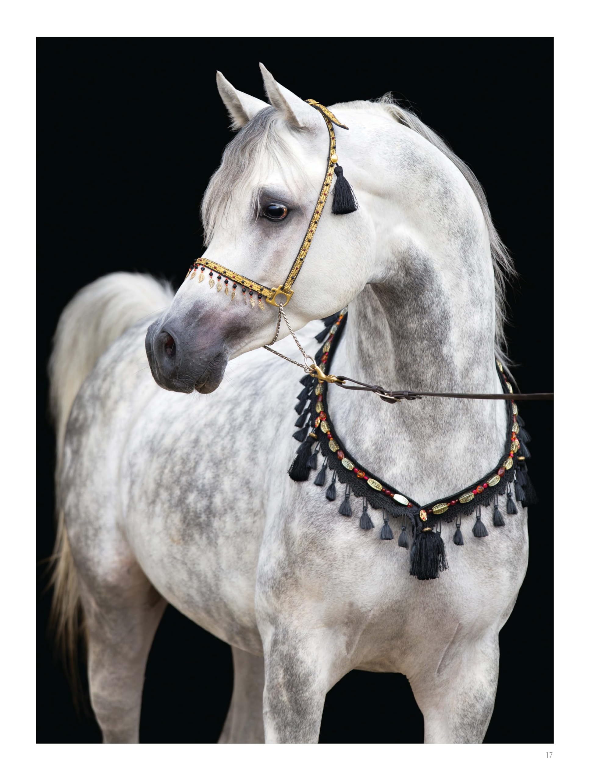 Chevaux de rêves - Les plus belles races du monde - Nouvelle édition
