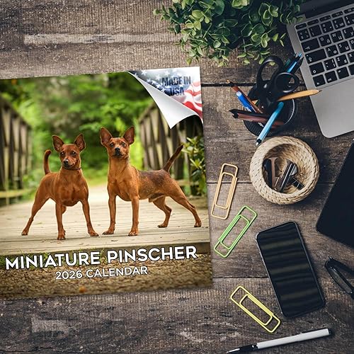 Miniatura 5 de Razas de Perros 2017