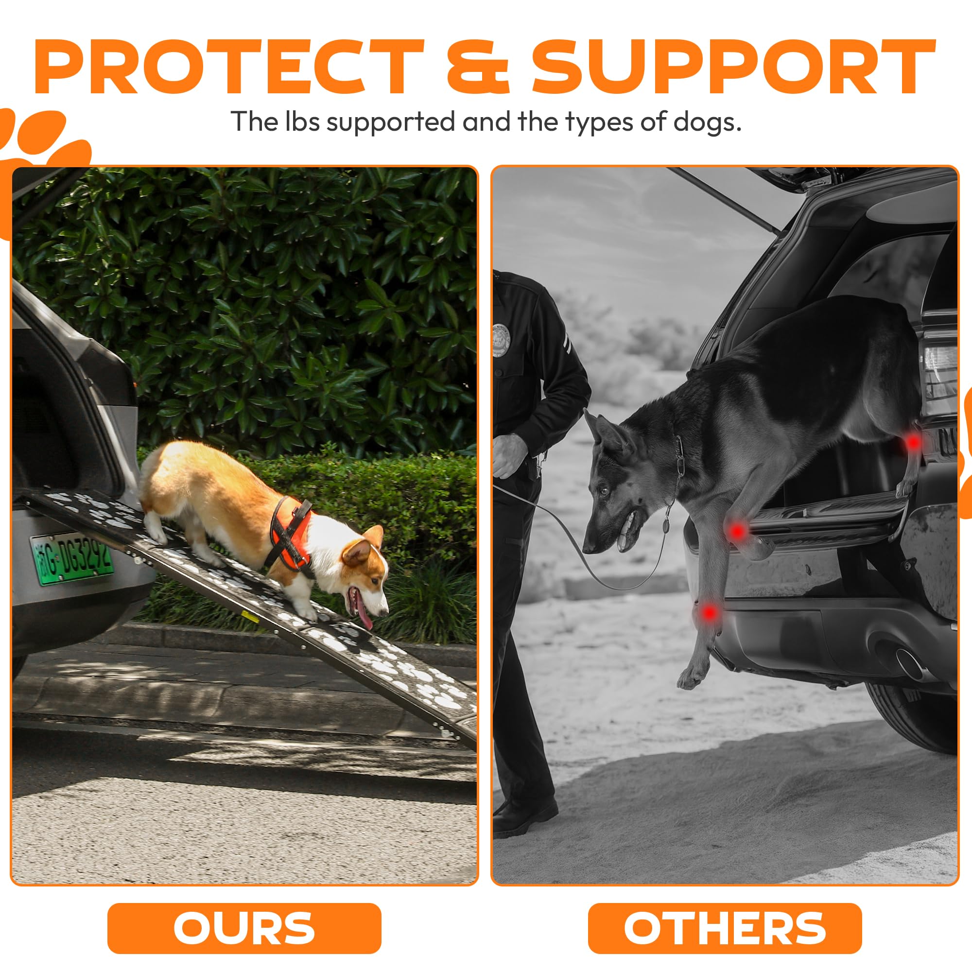 Rampa plegable para perros