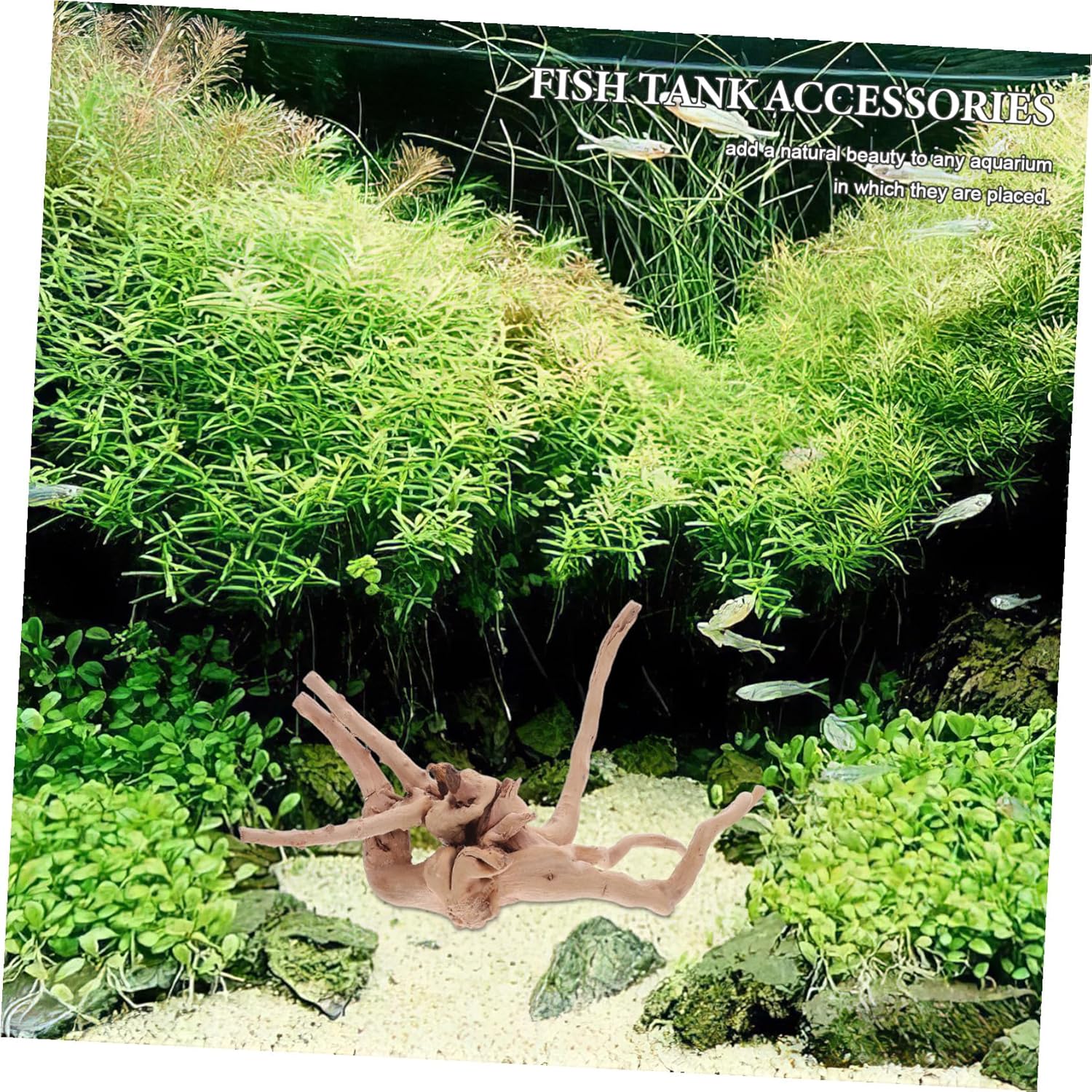 Beaupretty 3pcs Natural Aquarium Driftwood Irregular Shapes Safe Fish Tank Decoration Wood for Freshwater Fishtanks Terrariums Aquascaping with Easy-Clean Driftwood Branches
