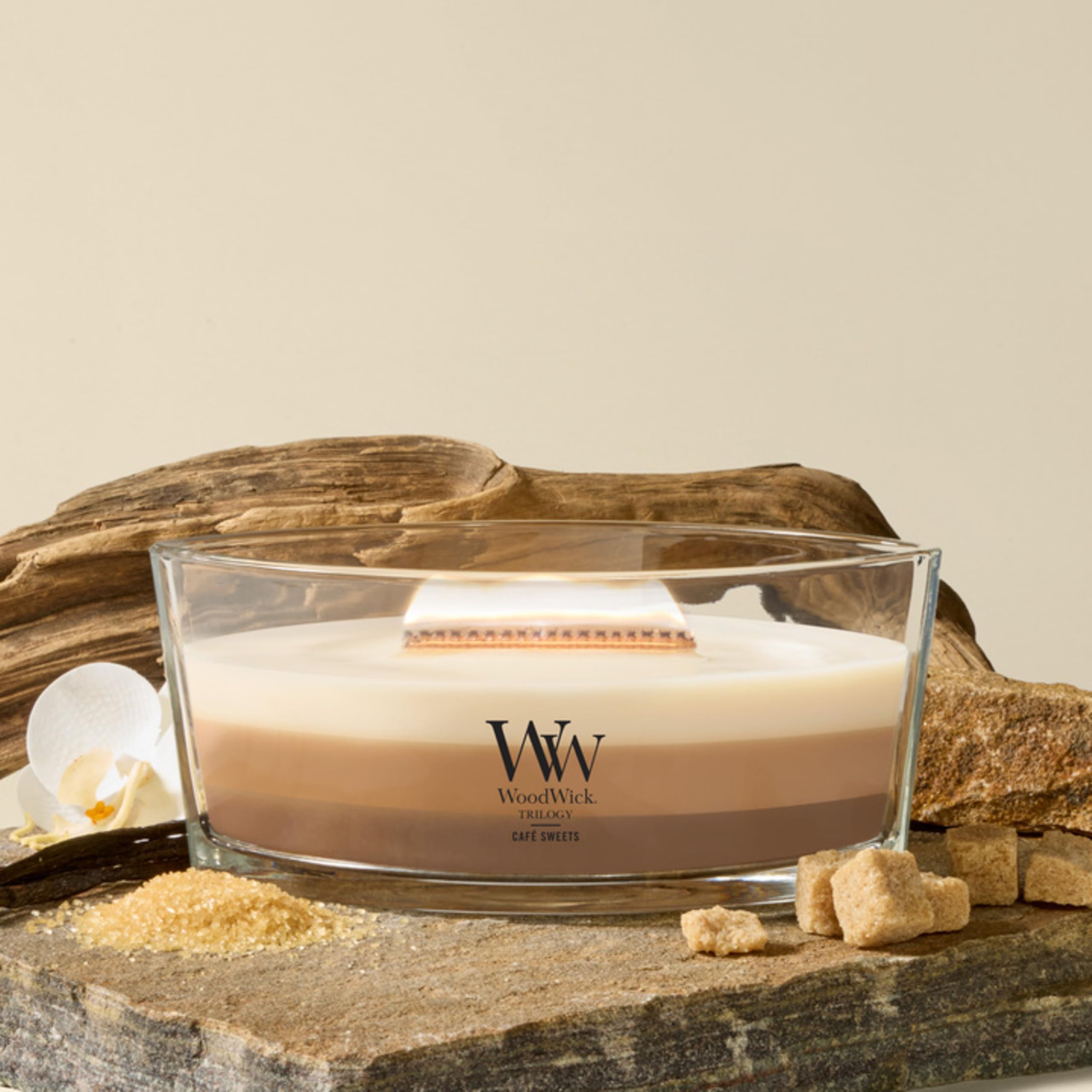 WoodWick Ellipse Trilogy bougie parfumée avec mèche Hearthwick | Café gourmand